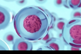 Bio Cue - Terapia komórkami macierzystymi